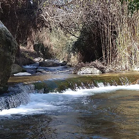 Mas De Penyaflor